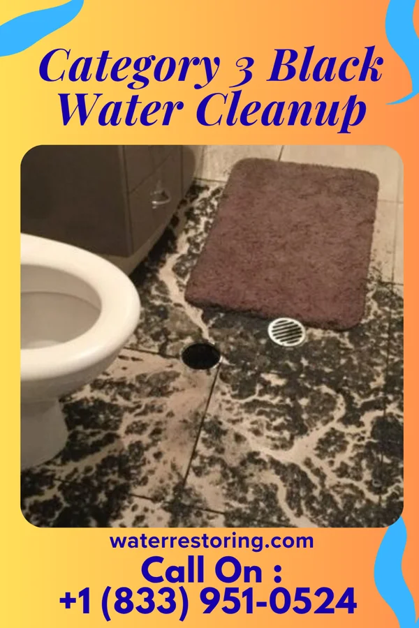 Category 3 Black Water Cleanup in Forbes, ND