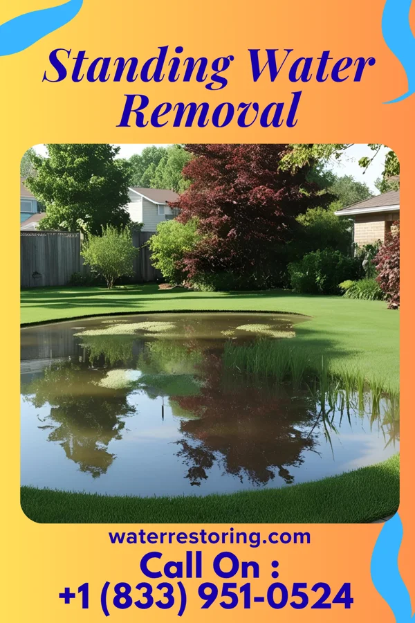 Standing Water Removal in Forbes, ND